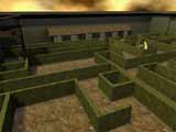 The Maze