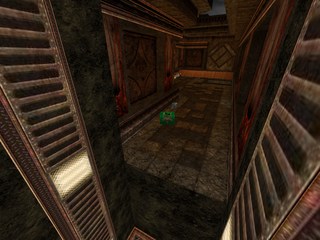 invertedpenguinshot02