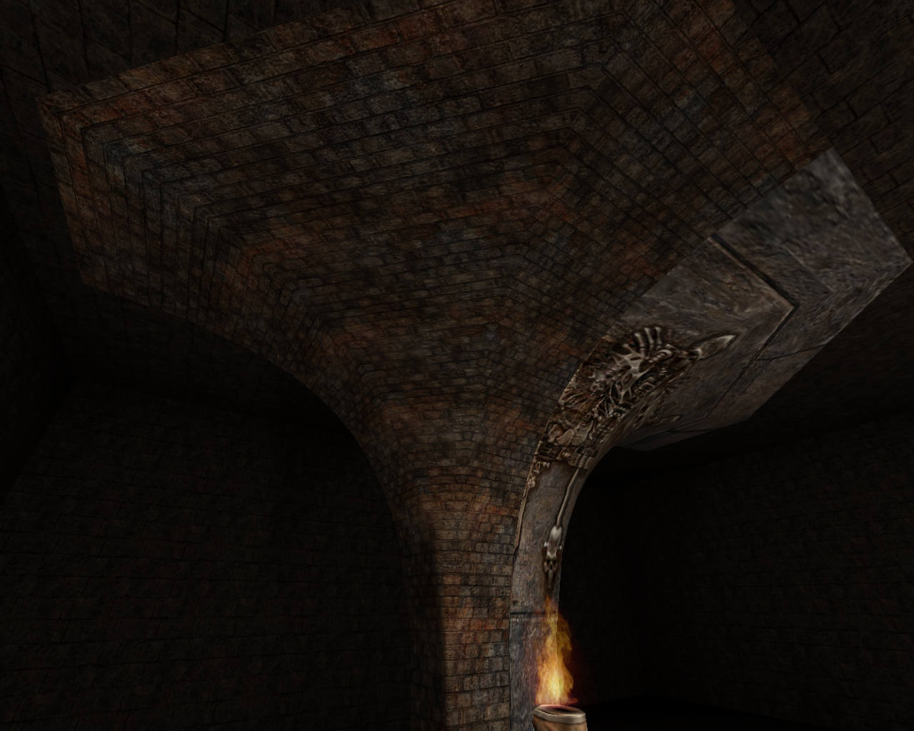 Member submitted image